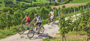 Welch Freude, durch die Rebberge zu radeln