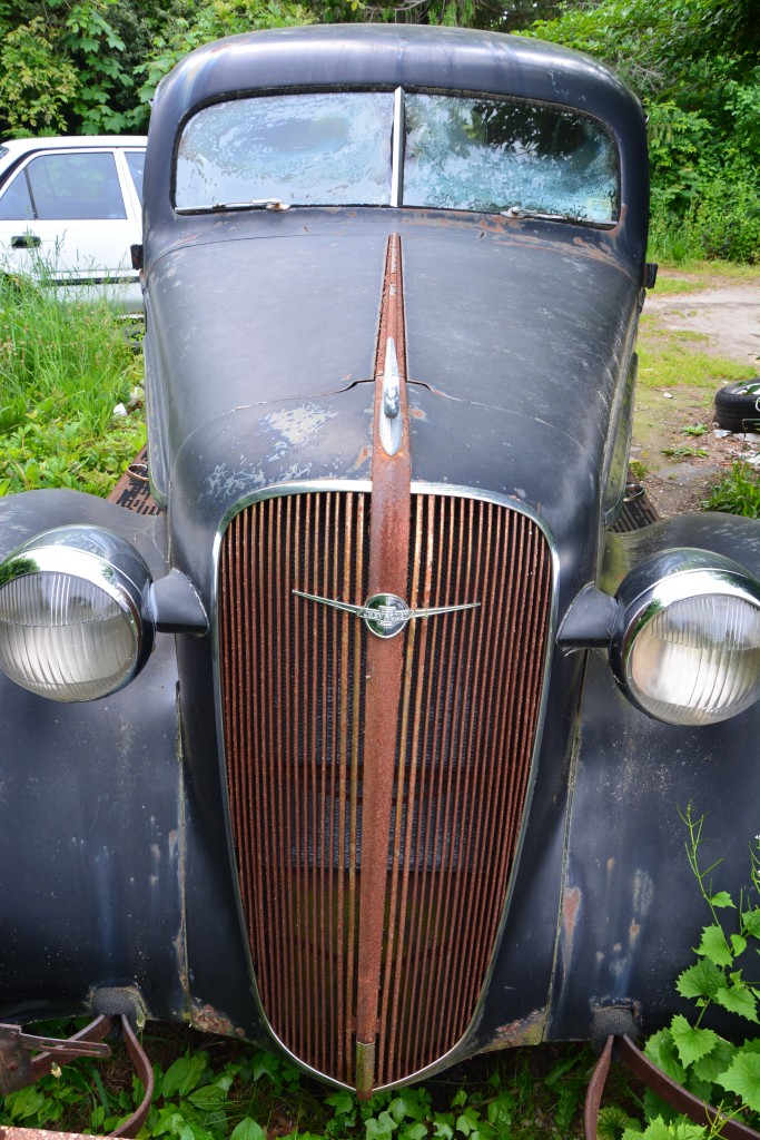 Die Hamptons- Foto: © Dörte Welti