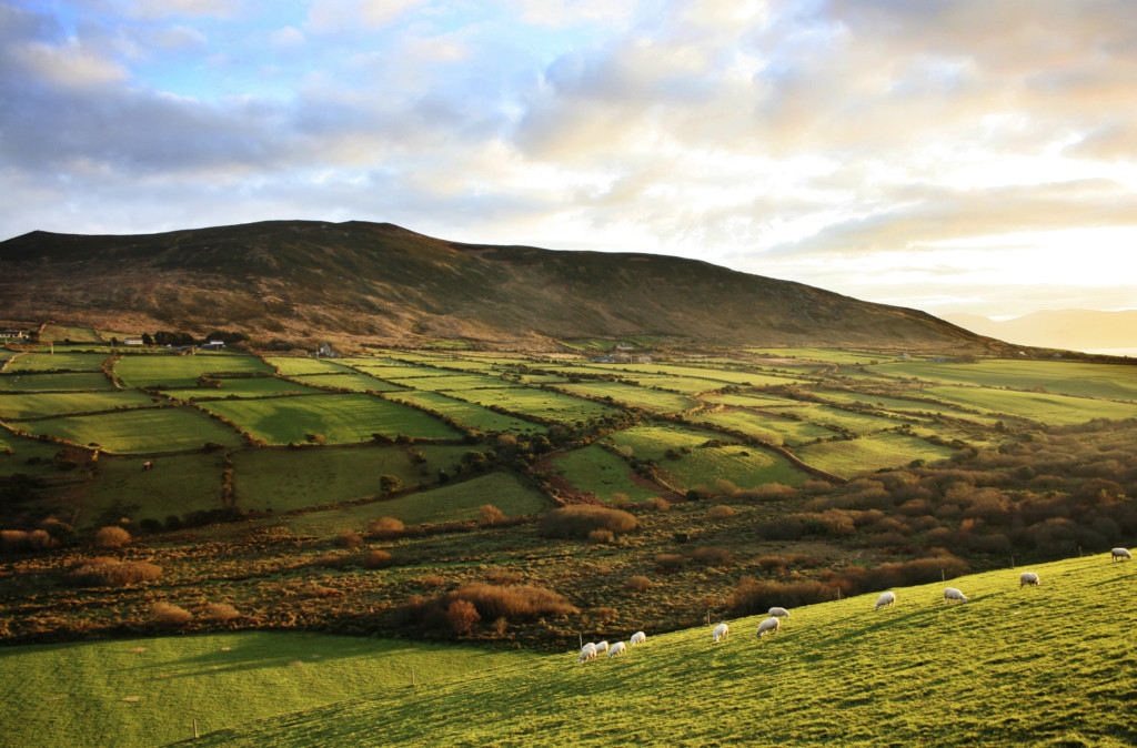 Dingle Halbinsel