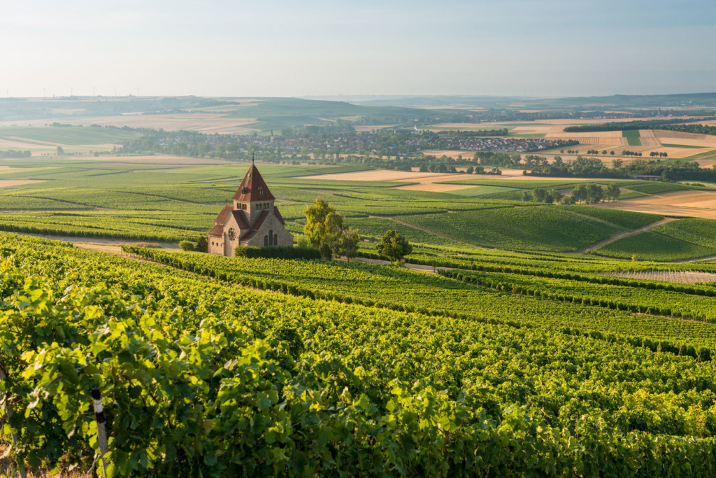 Weinberge und Kreuzkapelle bei Gau.-Bickelheim