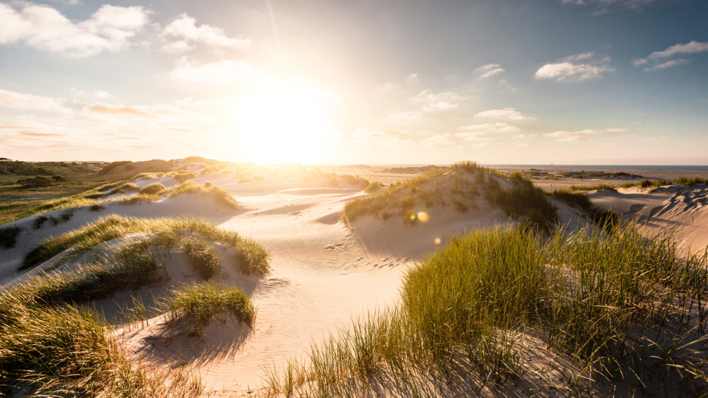 Dünenlandschaft-Norderney-©-Staatsbad-Norderney-GmbH,-Janis-Meyer