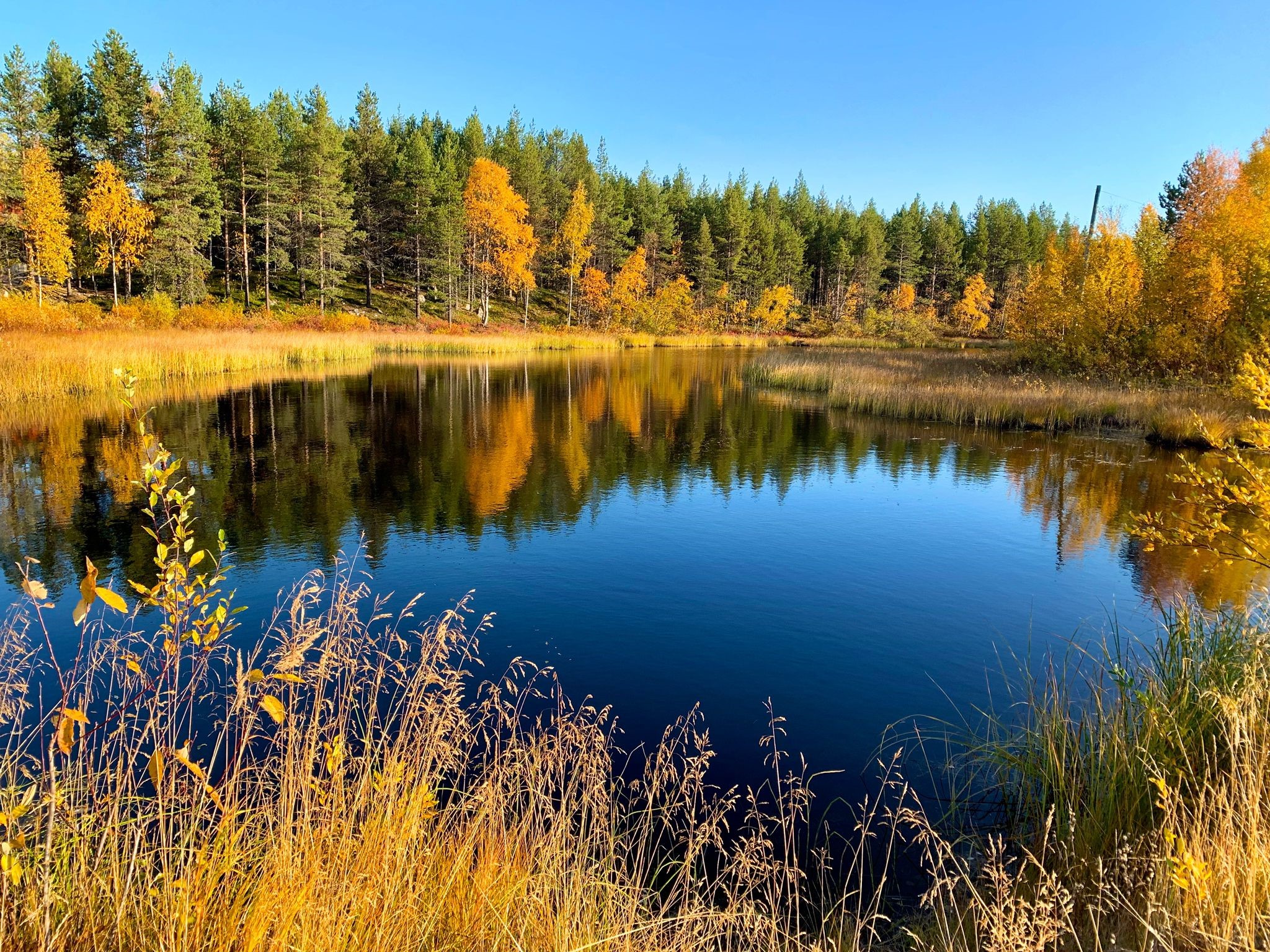 Die herbstlich gefärbte Weite lädt dazu ein, innezuhalten und den Moment zu geniessen. | Bild: Kathrin Römer, Kontiki-Mitarbeiterin