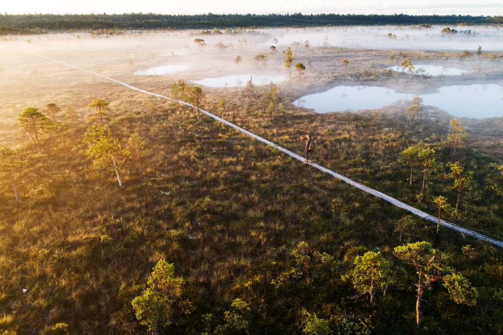 Moorlandschaften in Estland – mystisch und friedlich zugleich / Bild: Visit Estonia